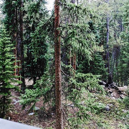 Powderhorn C202 Condo Breckenridge Luaran gambar